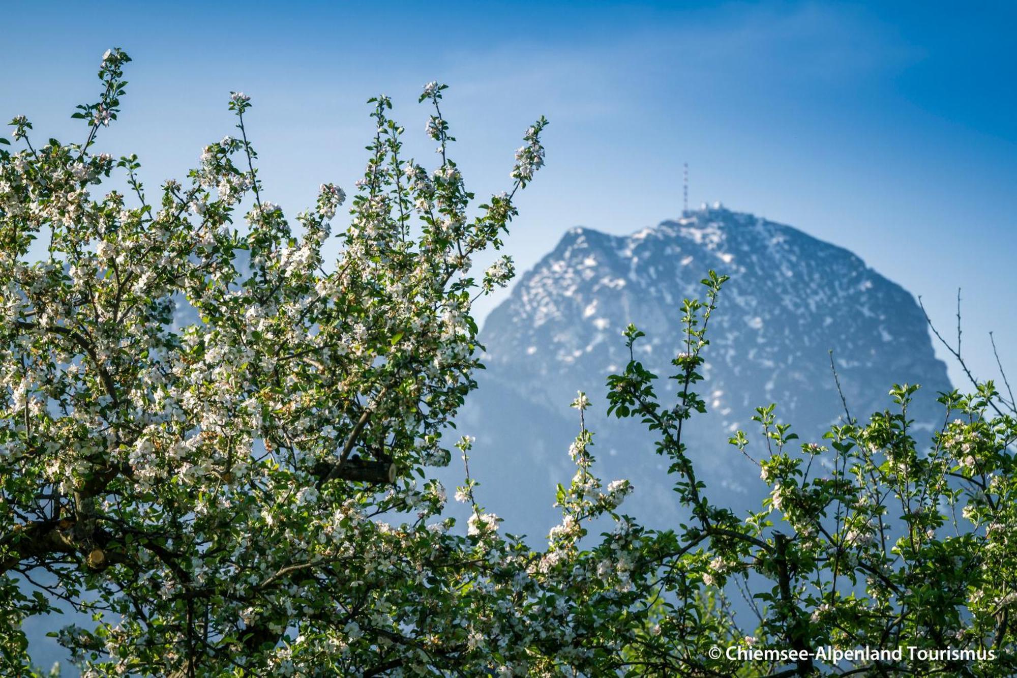 Land Wirtschaft Hoess Bad Feilnbach Exteriér fotografie